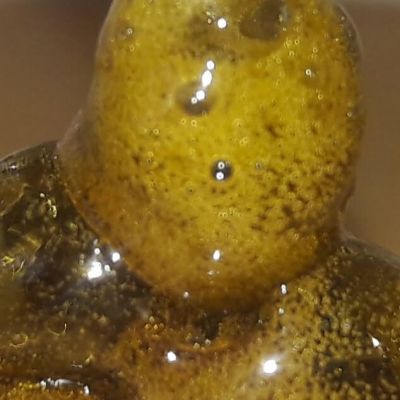 Macro view of clear golden oil produced by the GEMSTX, highlighting the high-quality extraction of glandular trichomes without the use of solvents.